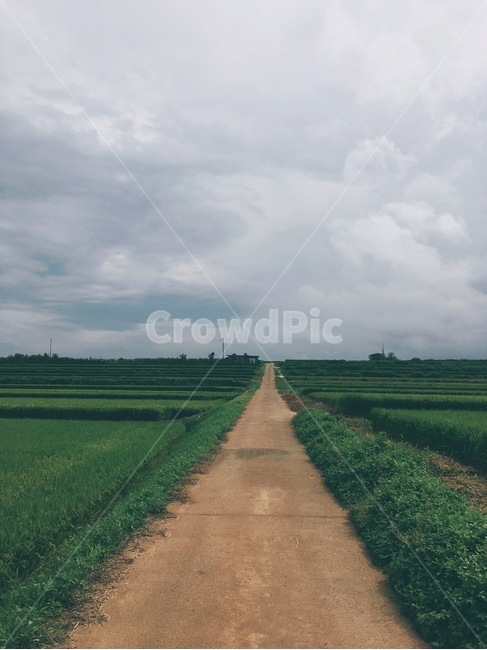 시골,길,하늘,구름,시골길,풀,자연,풍경,nature,landscape,road,도로
