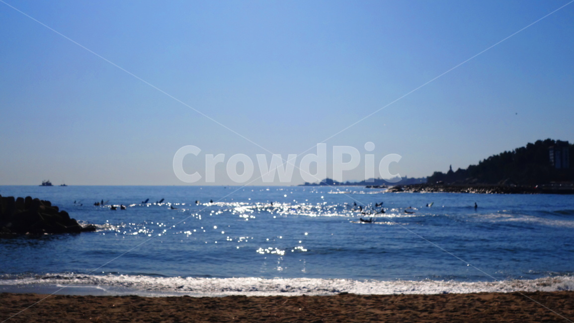 ocean,대양,nature,자연,water,바다,sea,adventure,해안선,레저활동,서핑,서퍼,surf,surfing,surfer,해변,바다,beach,sea