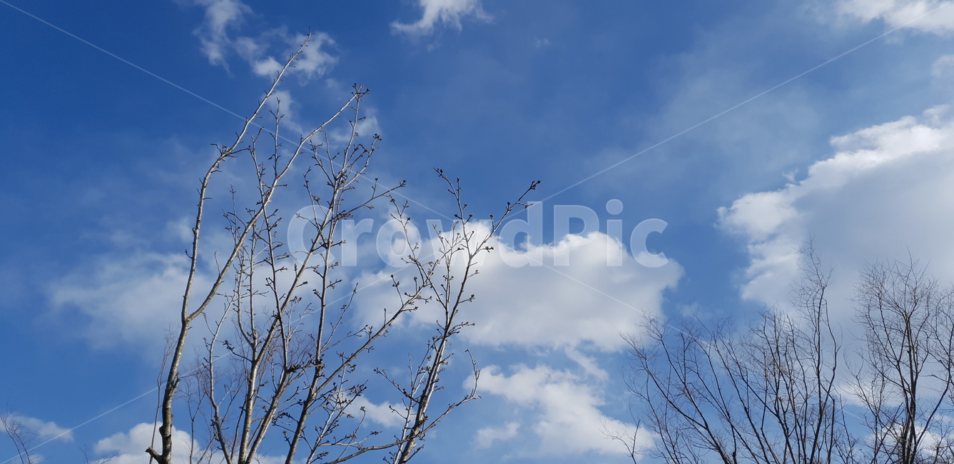 하늘,구름,풍경,색감,깨끗함,푸른,깔끔한,맑은하늘,sky,nuages,가평,도마치재,경기도,한국,clouds,자연,한국자연풍경,nature,landscape,하늘색,로우앵글,감성,색채,색깔,색상,colorsense,colorsensitivity,feelingofcolor,흰구름,날씨,naturelandscape,자연,풍경,nature,landscape