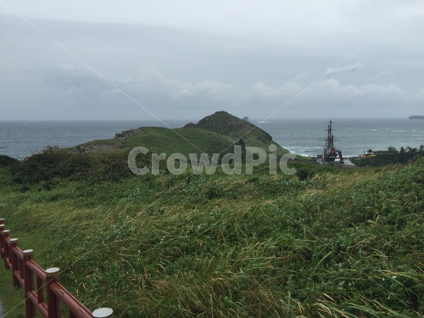 제주도,바다,바위,파도,수풀,자연,풍경,nature,landscape,outdoors,옥외