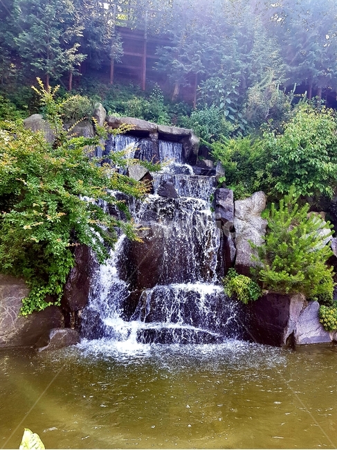 폭포,물,감성,멋진배경,울산대공원폭포