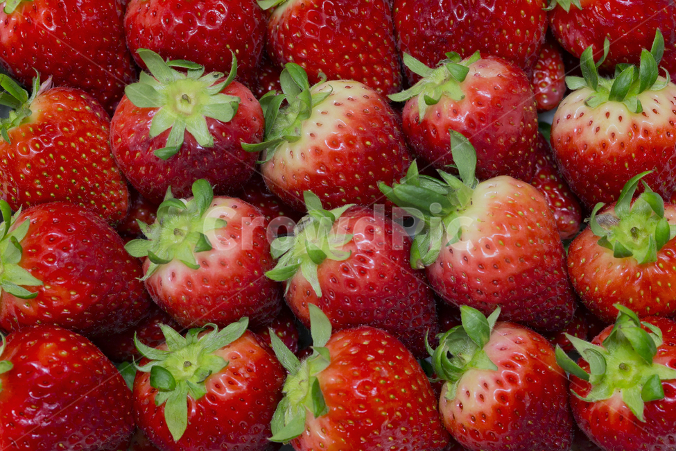 딸기,과일,달콤한,봄과일,봄,빨간,food,음식,strawberry,fruit,과일,열매,fruit