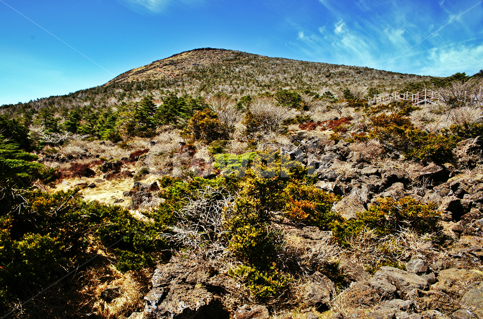 한라산,제주도,한라산국립공원,성판악코스,등산,푸른하늘