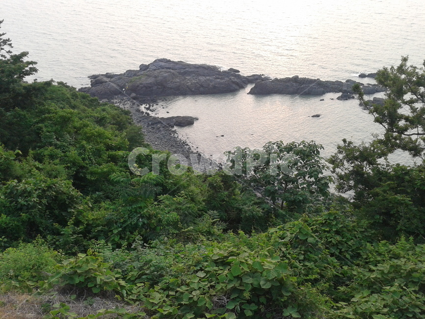 자연,nature,sea,바다,해안선,식물,초목