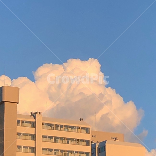 cloud,구름,sky,하늘,cumulus,적운,자연,nature