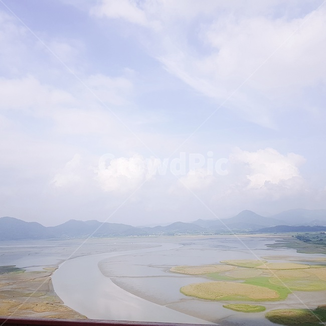 Suncheon,sky,Ramsar wetland,blue sky,The worlds five largest coastal wetlands,summer sky,summer,grains,cloud,Yongsan Observatory,Suncheon Bay Wetland,Suncheon Bay,turkey,Suncheon Bay Ecological Wetland,Jeollanamdo,suncheonbay,marsh