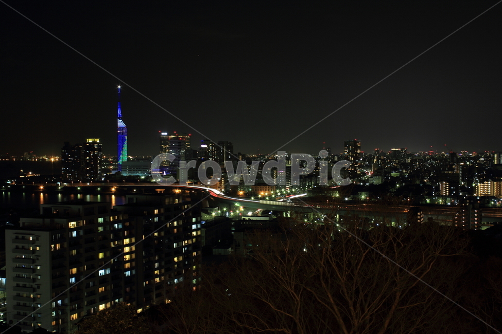 일본,후쿠오카,japan,fukuoka,야경,nightscape,후쿠오카타워,fukuokatower,야경,밤,풍경,nightscape,night,landscape,도시,city,해외,외국,세계,foreign,oversea,world,세계도시풍경,해외도시풍경,외국도시풍경,world cityscape,nature,자연,scenery,outdoors,옥외,경치