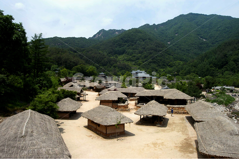 자연,고향,고향집,초가,골목길,시골,마을,풍경,landscape,country,rural,town,한국전통,한국문화,korean traditional,korean culture