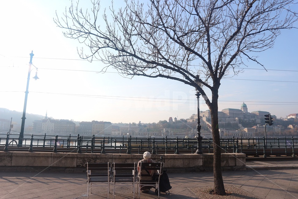 부다페스트,할머니뒷모습,다뉴브강,도나우강,뒷모습,낮,안개,헝가리