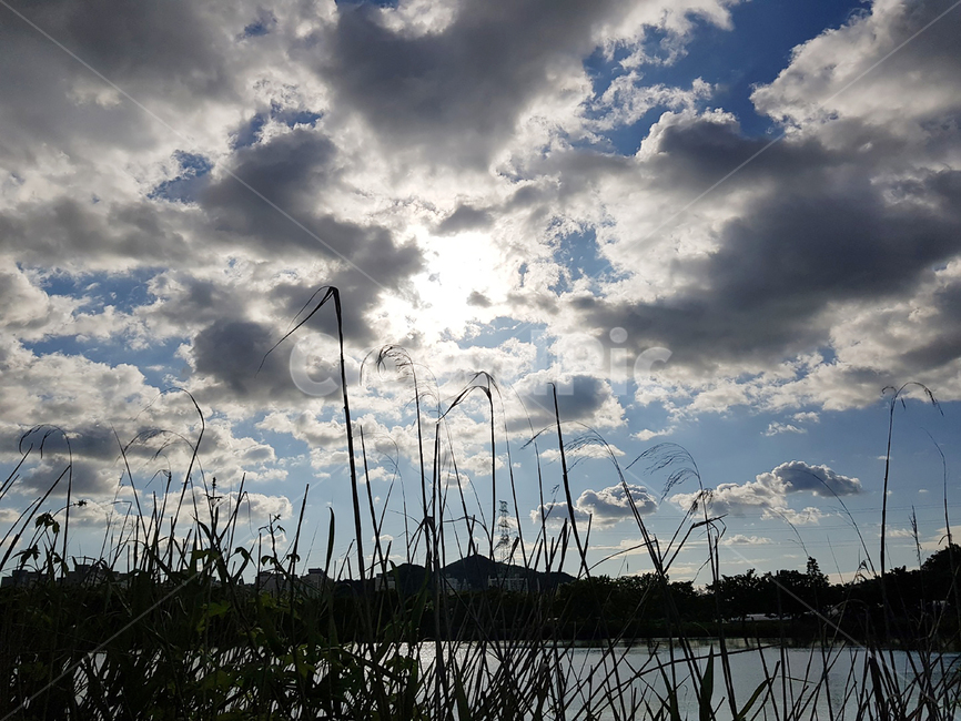 하늘,구름,풍경,바람,자연,선선함,풀,산,계절,한적함,nature,cloud,sky,weather