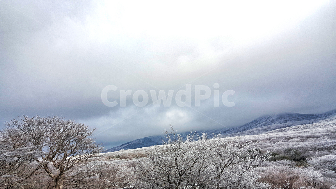 제주도,한라산,1100고지,한라산1100고지,설경,눈꽃,겨울,자연,옥외,눈,nature,outdoors,snow,풍경,겨울풍경,겨울,계절,winter,season,자연,풍경,nature,landscape
