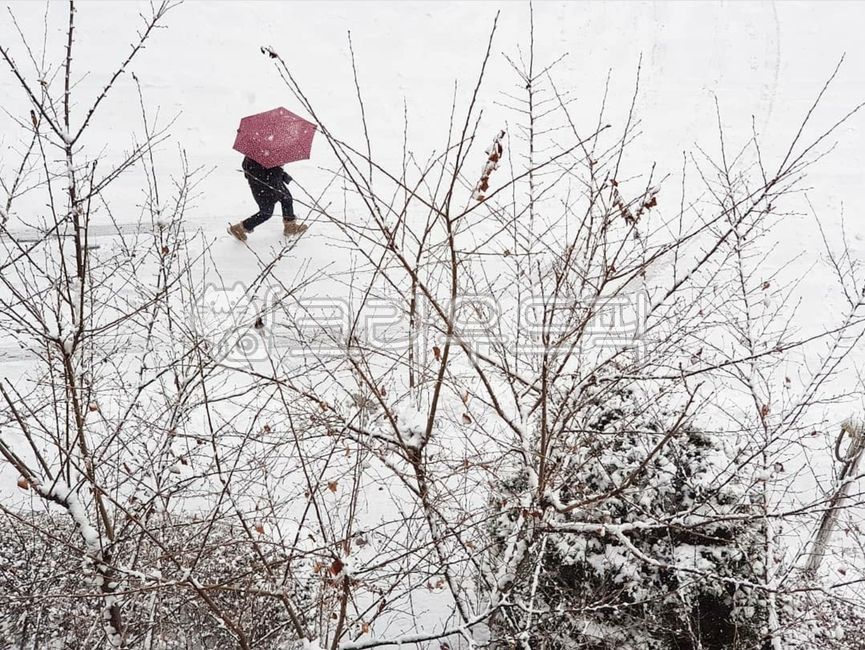 first snow,snowy weather,snow,winter,snowy day