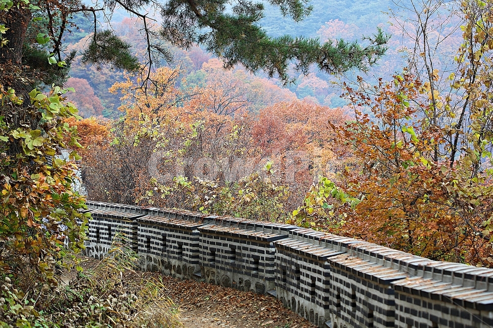 남한산성,성,성곽,단풍,낙엽,길,둘레길,숲,숲길,담,돌담,가을,자연,풍경,벽,울긋불긋,산성,식물,가을,계절,fall,autumn,season