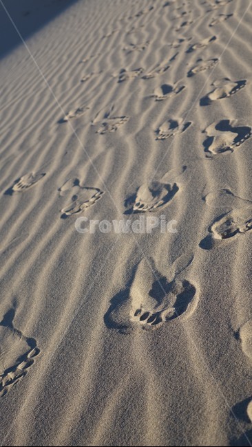 자연,언덕,모래언덕,모래,사막,nature,hill,dune,dessert,발자국,발바닥,맨발