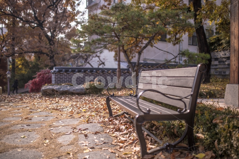 스냅,감성,가을,낙엽,풍경,의자,가을,계절,fall,autumn,season,furniture,가구,bench,벤치,park bench,공원 벤치