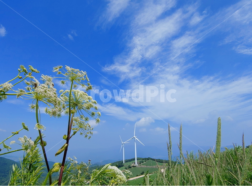 풍경,여름풍경,하늘,구름,산풍경