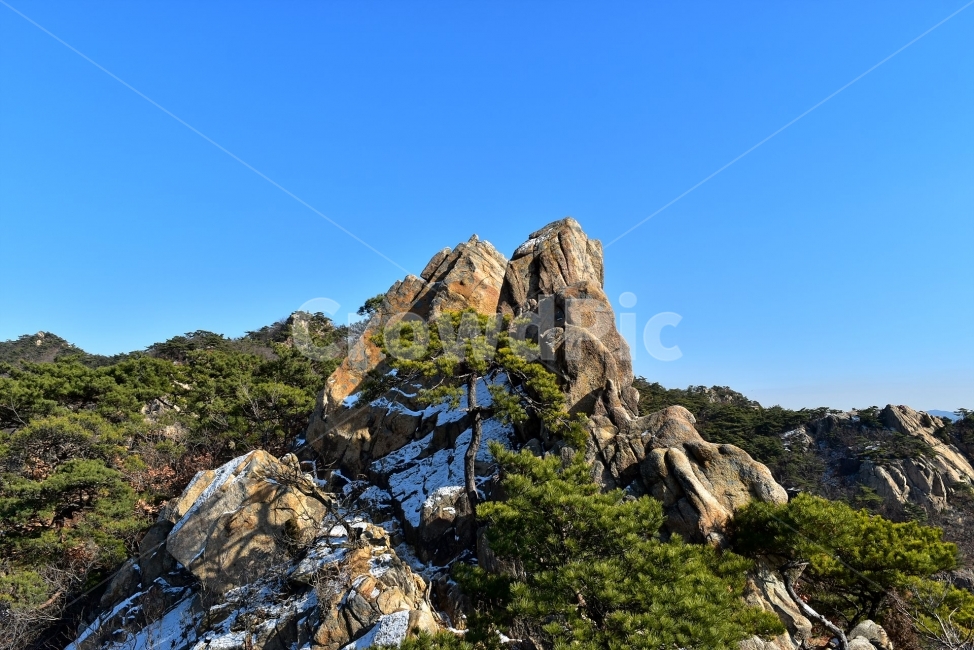 관악산,풍경,겨울,자연,눈,스포츠,등산,산행,nature,snow,겨울풍경,느낌,아름다운,신비로운,경이로운,기암,바위,암봉,암릉,다큐,필,힐링,명산,landscape,winter,season,트레킹,100대명산,인기명산,조망,전망,정부청사,6봉,수목원능선,바윗길,암릉길,명품송,소나무,명품코스,겨울,계절,winter,season,자연,풍경,nature,landscape,한국자연풍경,한국자연경관,korea nature landscape,outdoors,옥외,cliff,낭떠러지