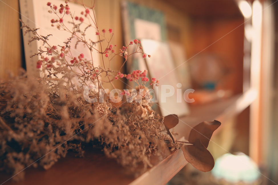 감성,카페,드라이플라워,cafe,mood,따뜻한,꽃,flower,감성,sensible,feeling