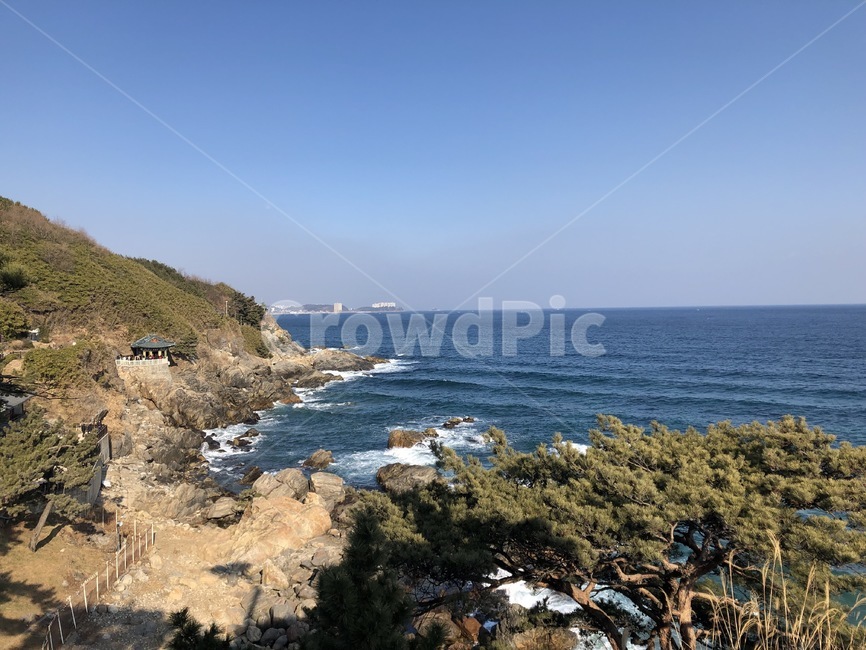바다,겨울,겨울바다,파도,나무,소나무,겨울나무,풍경,돌산,산,자연,풍경,nature,landscape,promontory,곶