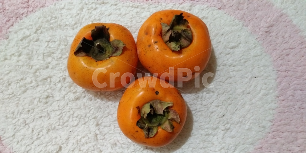 plant,식물,fruit,과일,persimmon,감,food,음식,과일,열매,fruit