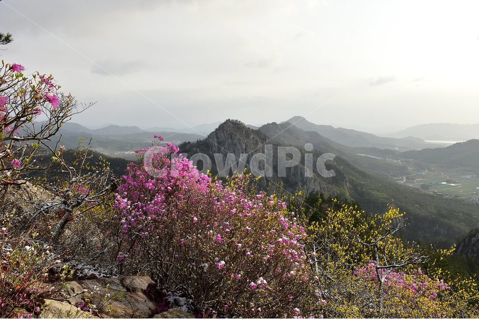주작산,덕룡산,종주,진달래,풍경,기암,바위,비경,봄풍경,진달래꽃,강진,명산,산행,등산,마운틴,힐링,mountain,landscape,자연,natural,봄,계절,spring,season,자연,풍경,nature,landscape,한국자연풍경,한국자연경관,korea nature landscape,outdoors,옥외,산,mountain range,산맥