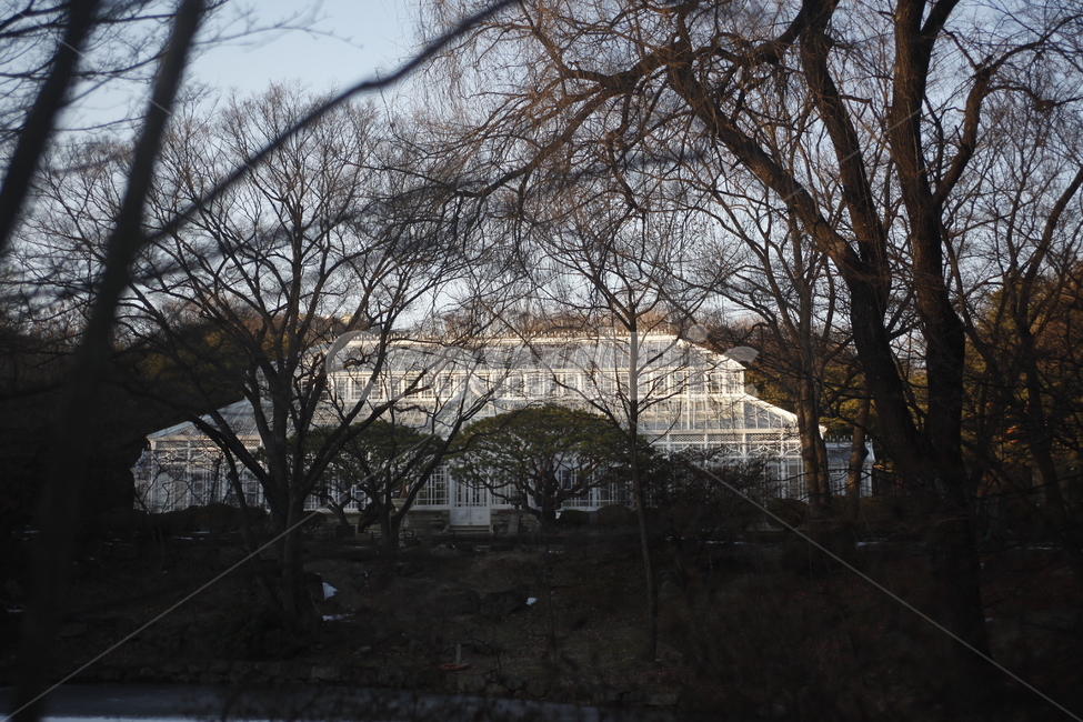 창경궁,한옥,서울,랜드마크,seoul,겨울,창경궁대온실,건축물,건물외관,exterior,building,structure,architecture,construction