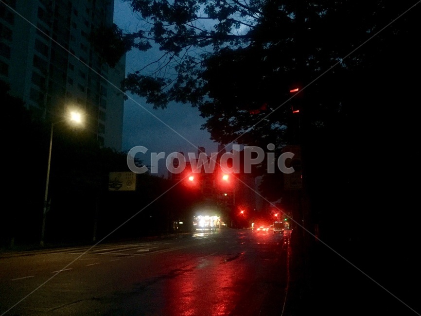 어둠,빛,비,추적추적,가로등,야경,밤,풍경,nightscape,night,landscape,도시,city,asphalt,아스팔트,flare,플레어,light