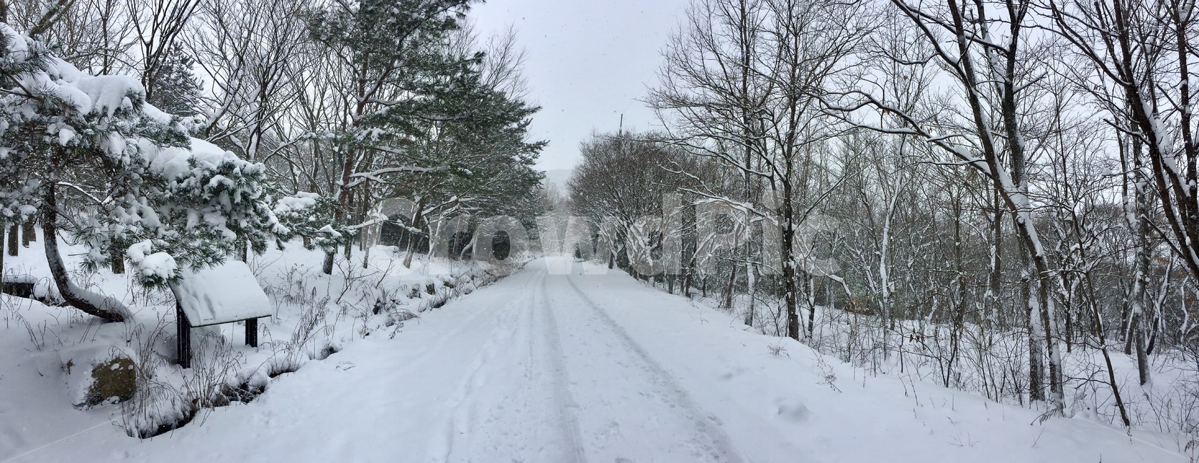 설경,무등산,눈꽃,겨울산,크리스마스,성탄절,nature,자연,outdoors,옥외,blizzard,눈보라,winter,겨울,snow,눈,storm,폭풍