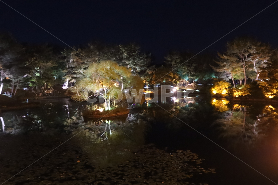 경주,야경,nature,water,자연,멋진야경,궁,한국의멋,전통적인