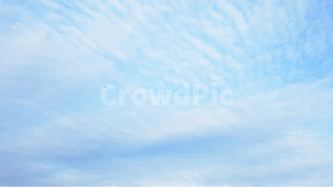 하늘,구름,새,비행,비상,파랑,파란색,하늘색,bird,sky,동물,날다,자연,풍경,nature,landscape,outdoors,옥외,adventure,모험,leisure activities,레저 활동