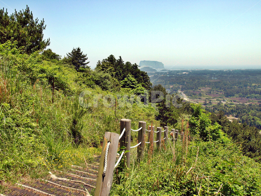 두산봉,오름,제주,올레1코스,자연,나무,성산일출봉,바다,나무계단,제주도,jeju,jeju island,outdoors,옥외,nature