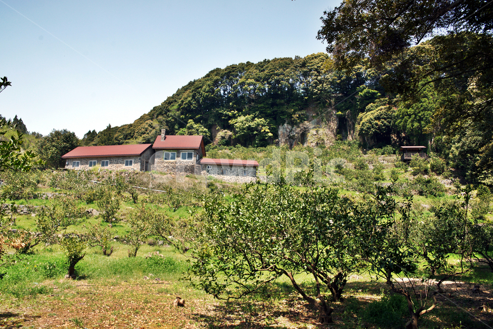 제주,서귀포,올레71코스,올레길,중산간,엉또폭포입구,목책,밭,농작물,자연,풍경,nature,landscape,outdoors,옥외,building,건물