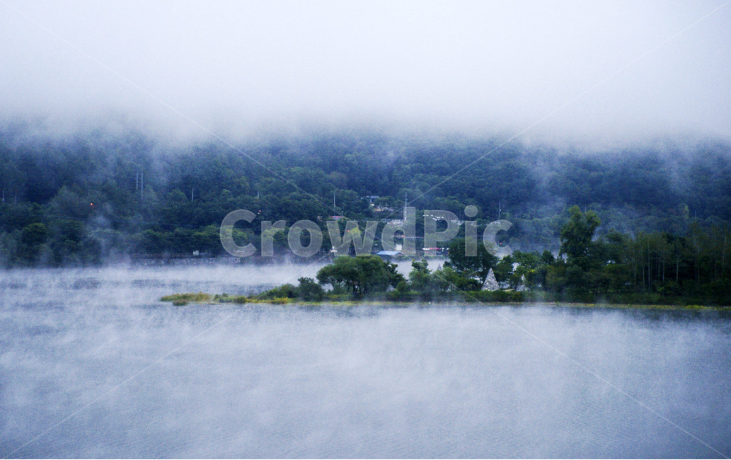 호수,남이섬,안개,나무,구름,녹색,자연풍경,자연경관,풍경,자연,풍경,nature,landscape,water,물,outdoors,옥외,land,땅,shoreline,해안선,sea,바다,ocean,대양