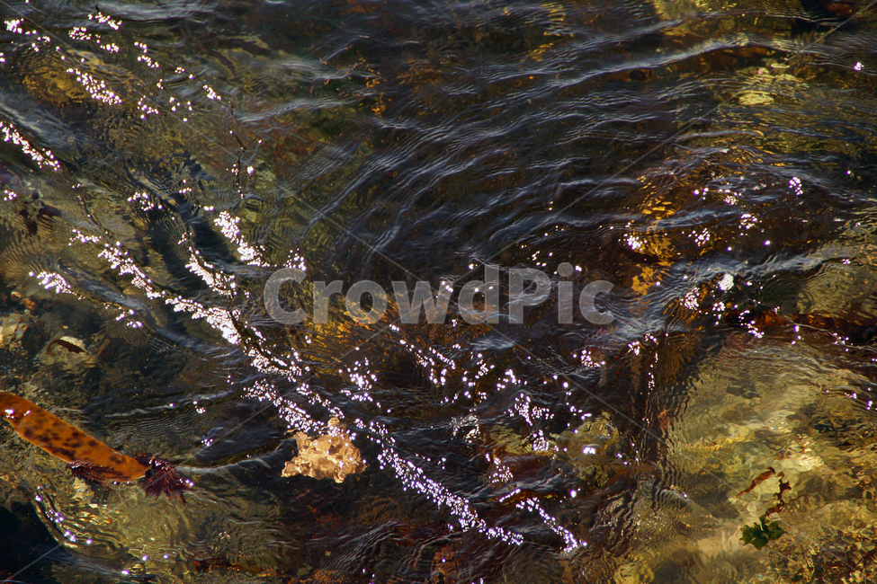 물,바다,바닷물,물결,미역,water,sea,자연,풍경,nature,landscape,outdoors,옥외