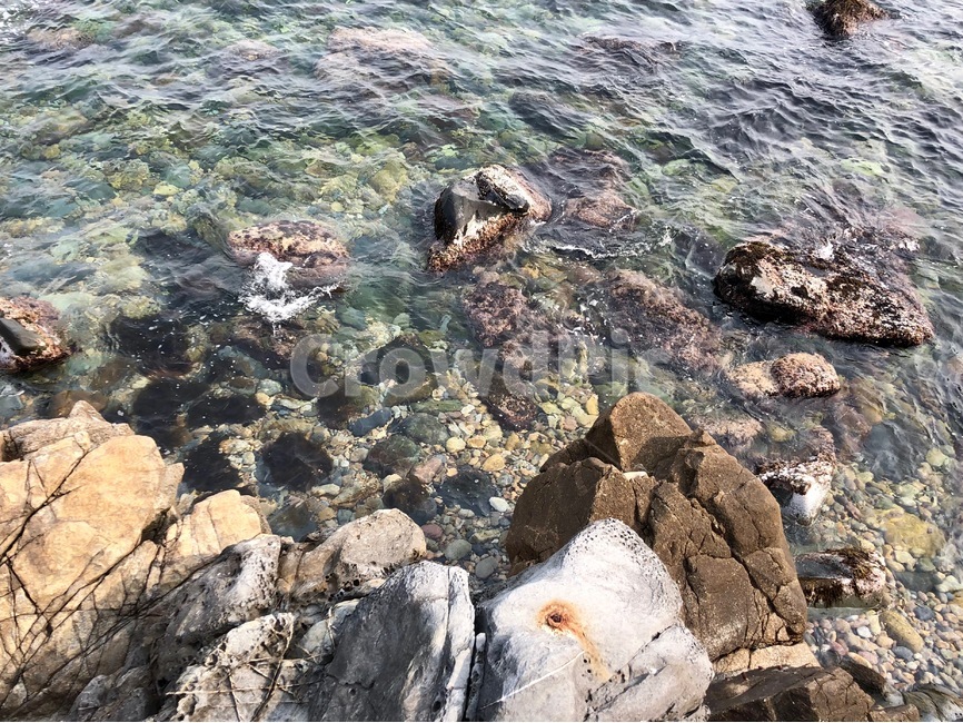 강릉,바다,돌,맑은물,겨울바다,자연,풍경,nature,landscape,rock,록,rubble,파편