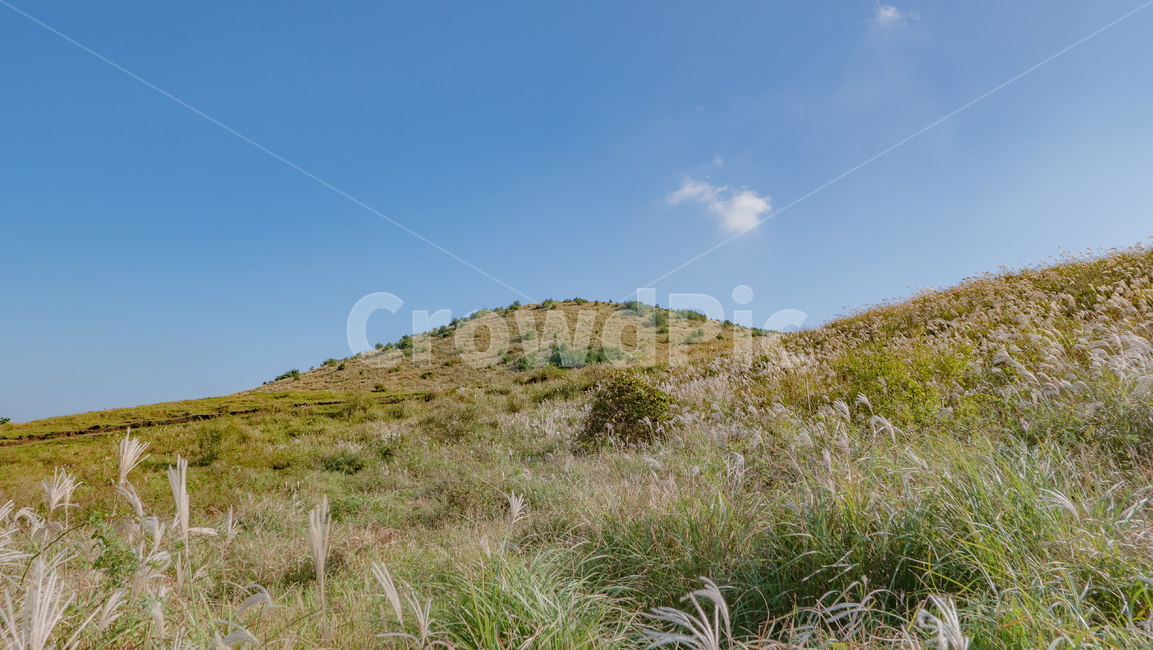 용눈이,용눈이오름,오름,orum,jeju,제주,제주도,제주오름,가을제주,가을,풍경,landscape,grassland,목초지,field,들,옥외,outdoors,자연,풍경,nature,landscape