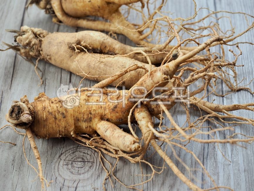 인삼,수삼,인삼뿌리,동양의학,한약재료,한약재,약재,뿌리,식물,뿌리식물,음식,건강식품,orientalmedicine,chinesemedicineingredients,herbalmedicine,ginseng,medicine,root,plant,food,healthfood,한의학,한약,한방