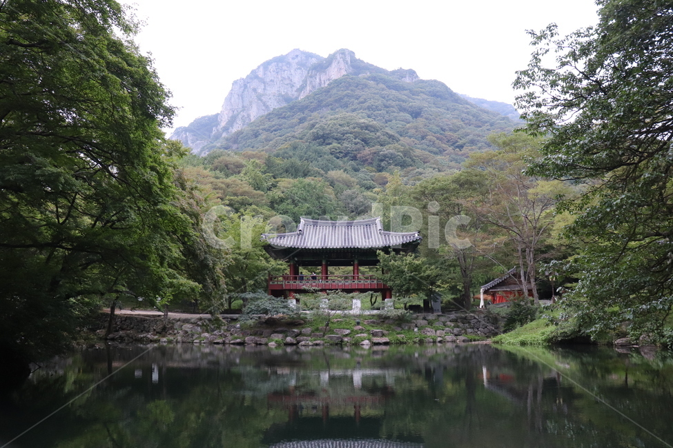 자연,건축물,나무,절,호수,초록색,자연,풍경,nature,landscape,한국자연풍경,한국자연경관,korea nature landscape,한국전통,한국문화,korean traditional,korean culture,architecture,building,건물,outdoors,옥외,temple,신전,worship,예배,shrine,신사