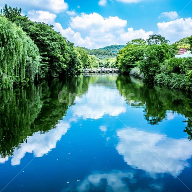 강물,반영,반사된,구름반영,하늘반영,반영풍경,자연,풍경,nature,landscape,water,물,outdoors,옥외,scenery