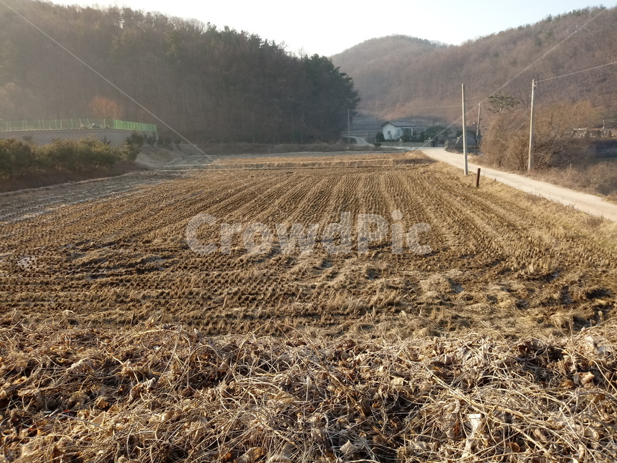 바닥,흙,ground,outdoors,land,논,길,산,도로,농토,농촌,시골,마을,풍경,landscape,country,rural,town