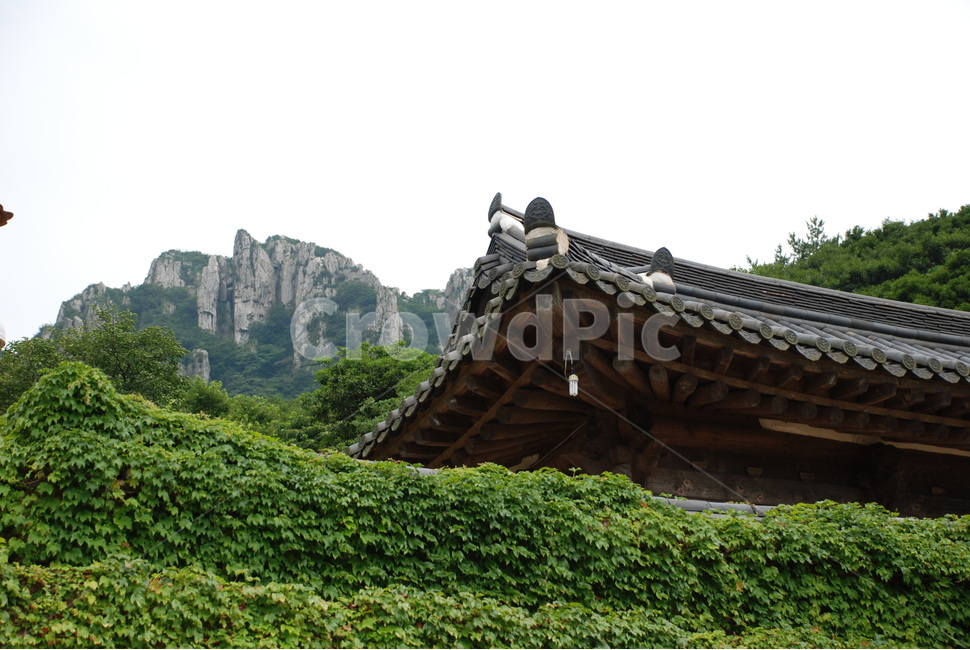절,풍경,한국전통,고요함,산사,한국전통,한국문화,korean traditional,korean culture,건축물,건물외관,exterior,building,structure,architecture,construction