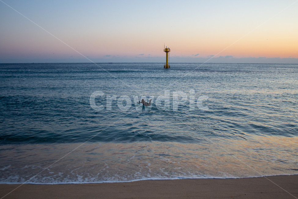 water,ocean,person,human,nature,sea,대양,사람,서핑,등대,일출,해변,바다,beach,sea,사람,인물,인간,human,person,여행,휴가,traveling,vacation,trip,스포츠,레저,운동,sports,leisure,exercise