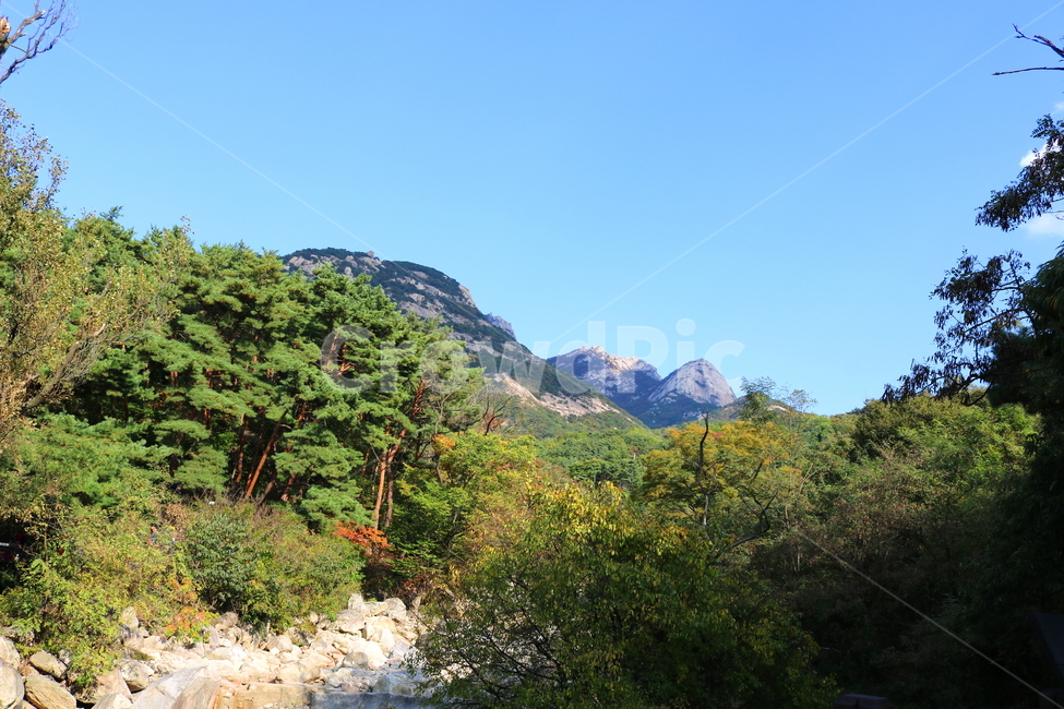북한산,산,자연,풍경,나무,공원,국립공원,산책로,등산로,원효봉,북한산국립공원,하늘,맑은하늘,식물,자연,풍경,nature,landscape
