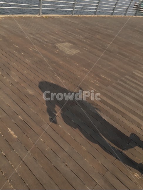 wood,나무,boardwalk,산책로,그림자,shadow,여행,휴식,park,강,river,friend