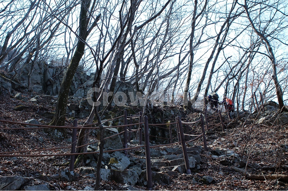 등산,산행,풍경,계룡산,봄,자연,자연,풍경,nature,landscape