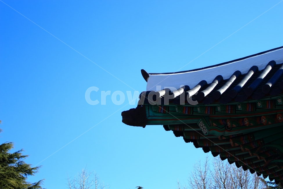 기와집,한국,부산,여행,기와,한국전통,한국문화,korean traditional,korean culture,건축물,건물외관,exterior,building,structure,architecture,construction