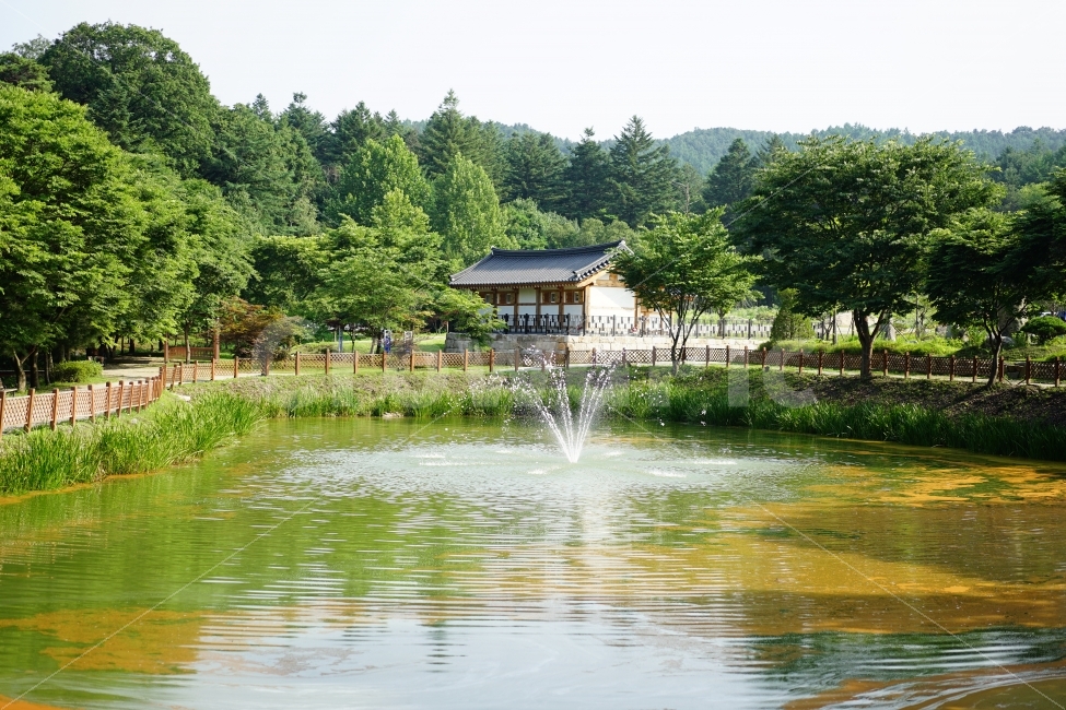 호수,연못,산책,풍경,분수,물,걷기,힐링,경치,햇살,산,나들이,자연,풍경,nature,landscape,여름,계절,summer,season,한국전통,한국문화,korean traditional,korean culture,outdoors,옥외,water