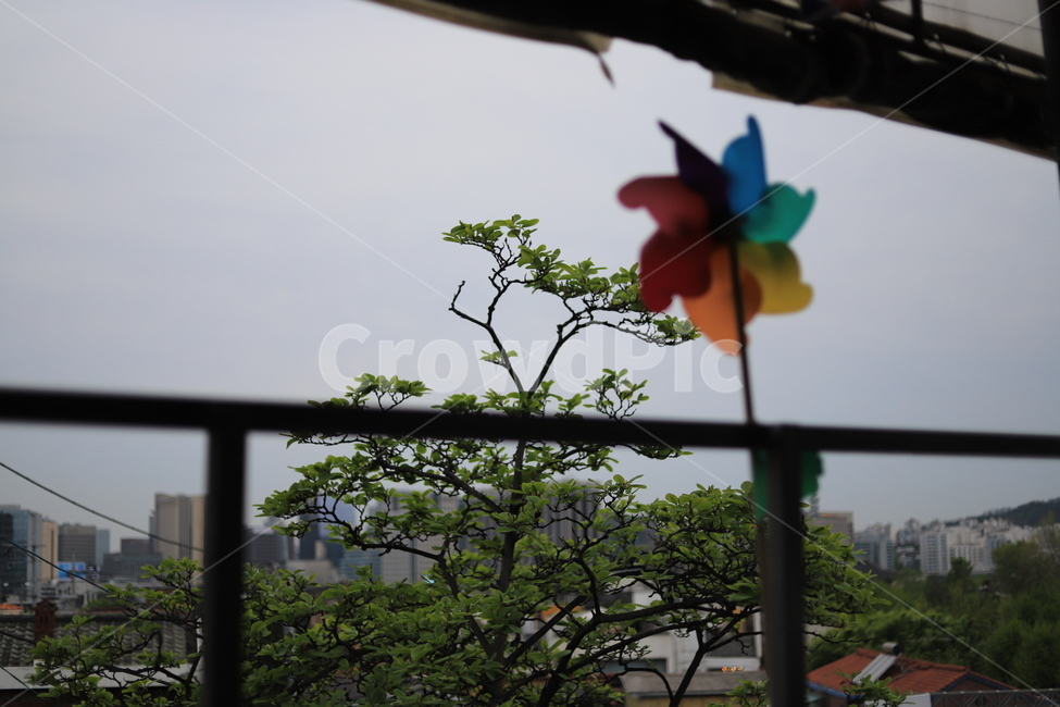 바람개비,바람,흐린날,그리움,나무