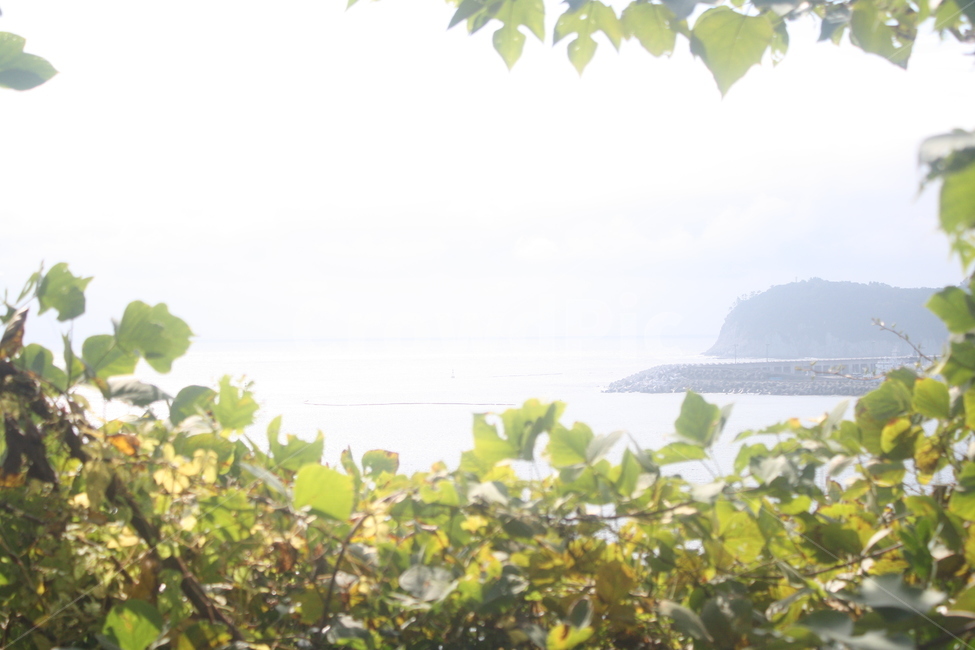 제주,제주도,제주바다,제주도바다,하늘,바다,섬,land,jeju,jejudo,nature,자연,landscape,경치,outdoors,옥외,scenery,풍경