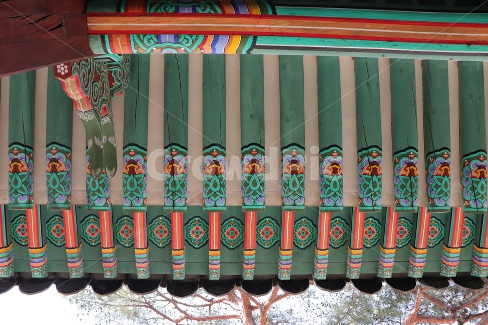 한국전통,궁,창경궁,처마,나무,한국전통,한국문화,korean traditional,korean culture,건축물,건물외관,exterior,building,structure,architecture,construction